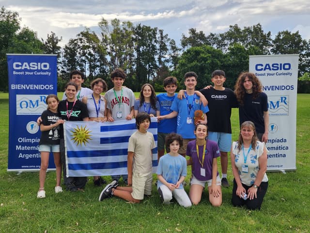 Competencia matemática